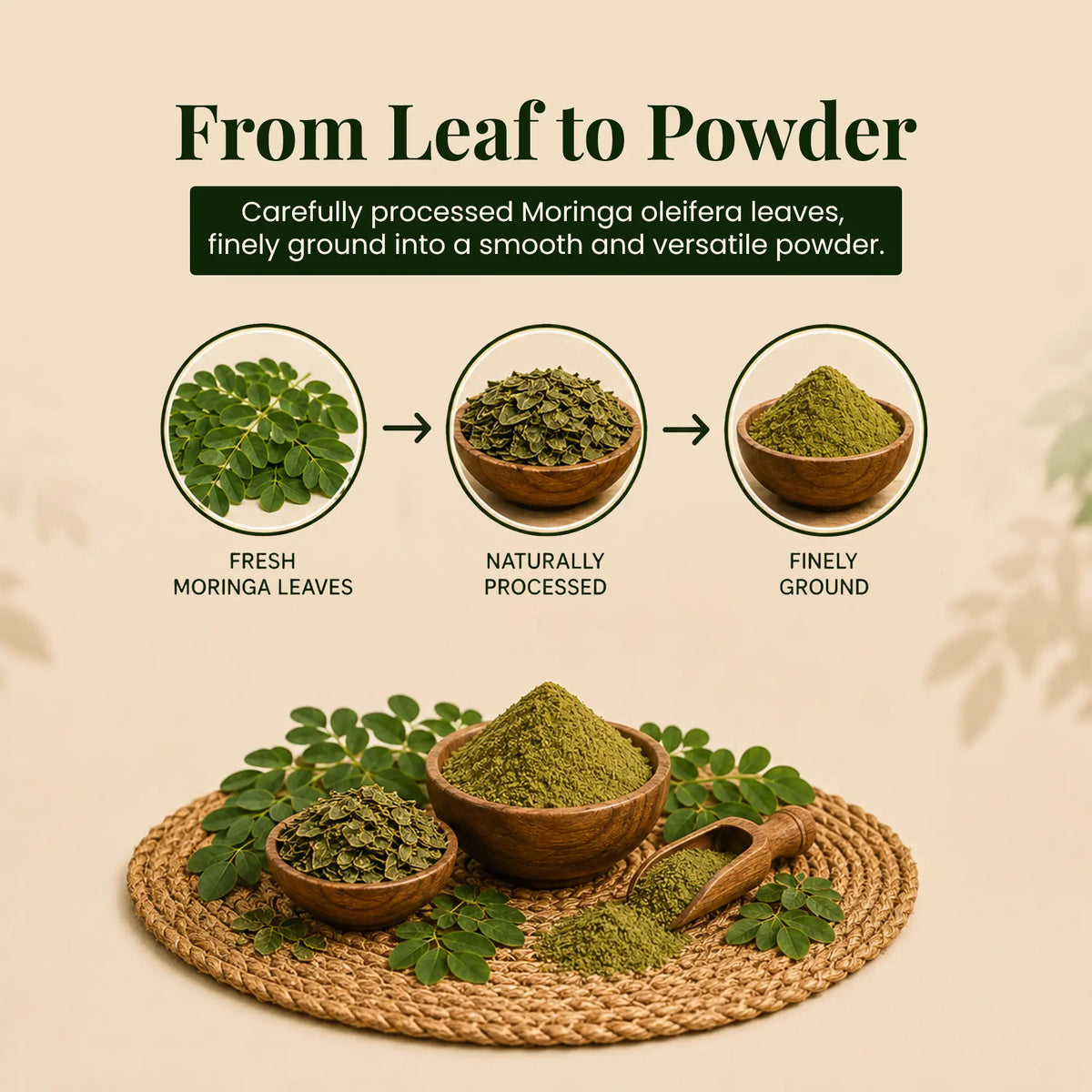 Drumstick (Moringa Pod) Powder by Ruphe19 Naturenest, photo 5