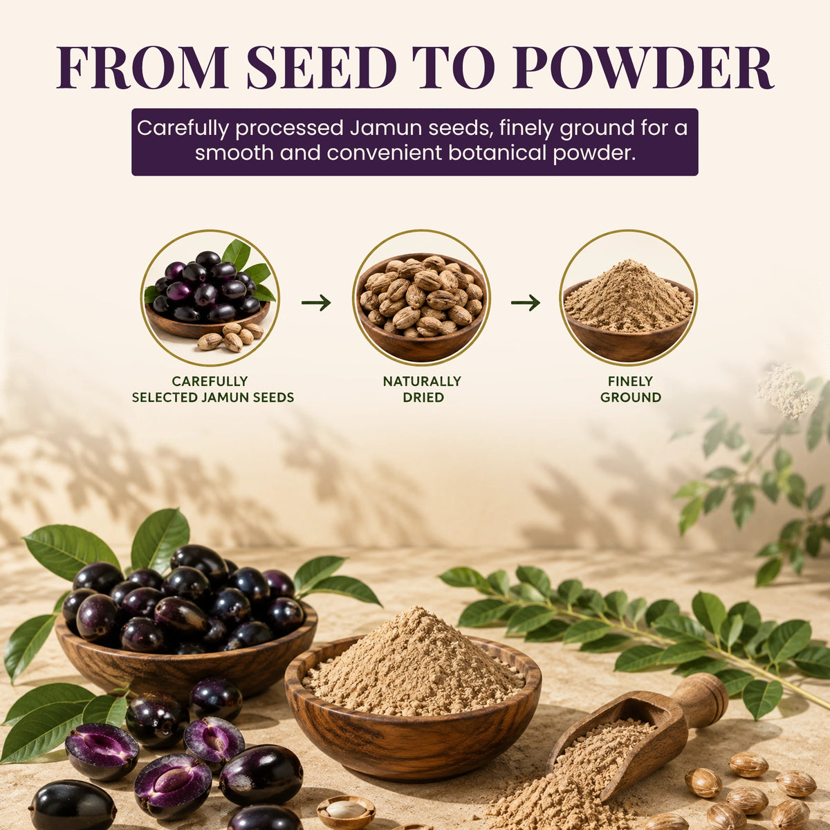 Jamun Seed Powder by Ruphe19 Naturenest, photo 4