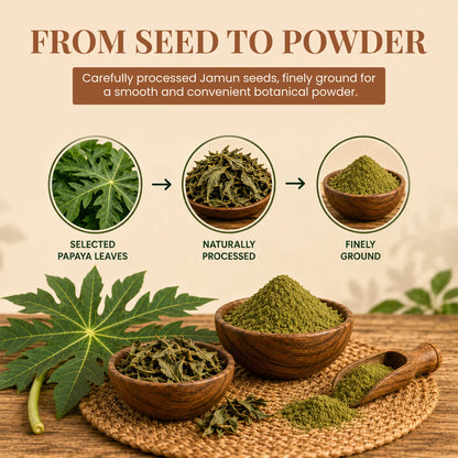 Papaya Leaf Powder by Ruphe19 Naturenest, photo 4