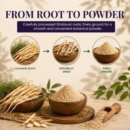 Shatavari Root Powder