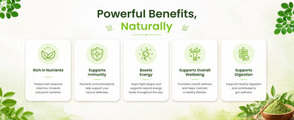 Moringa Leaf Powder
