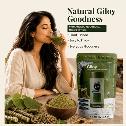 Giloy (Guduchi) Powder by Ruphe19 Naturenest, photo 3