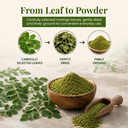 Moringa Leaf Powder by Ruphe19 Naturenest, photo 5