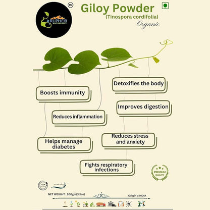 Giloy Powder