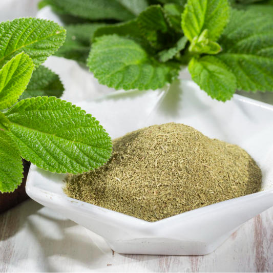 Dried Mint Leaves & Powder